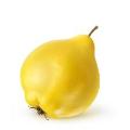 Quince