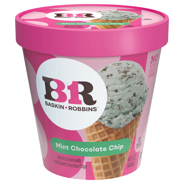 Baskin Robbins Mint Chocolate Chip Ice Cream