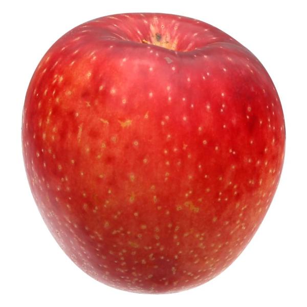 SweeTango Apples