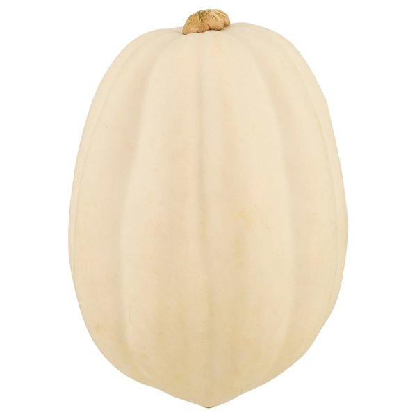 White Acorn Squash