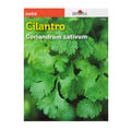 Burpee Herb Cilantro