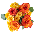 Stop & Shop Pumpkin Passion Rose Bouquet