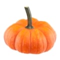 Mini Pumpkins