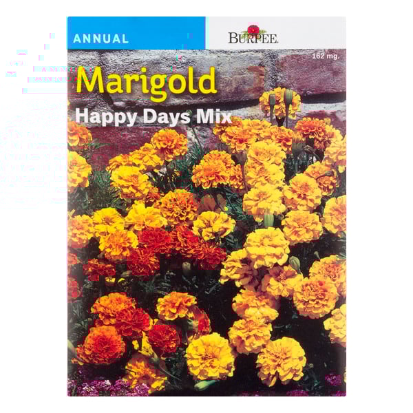 Burpee Annual Marigold Happy Days Mix