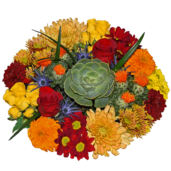 Giant Bloom & Grow November Bouquet