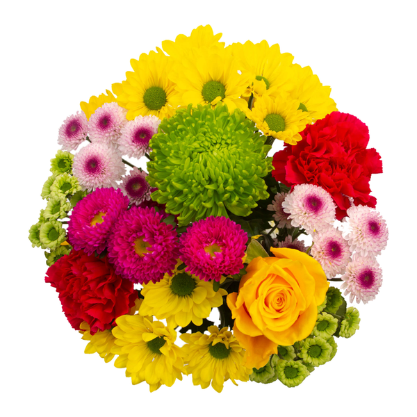 Nature's Harmony Bouquet (Colors May Vary)
