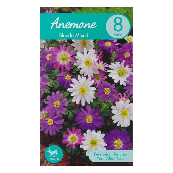 Garden State Bulb Company Anemone Blanda Mixed