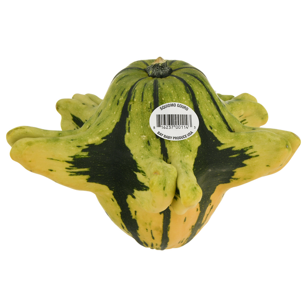Bay Baby Squidmo Gourd