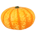 Bay Baby Produce Royalty Halloween Pumpkin