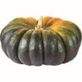 Large Heirloom Pumpkin (Color & Variety May Vary)
