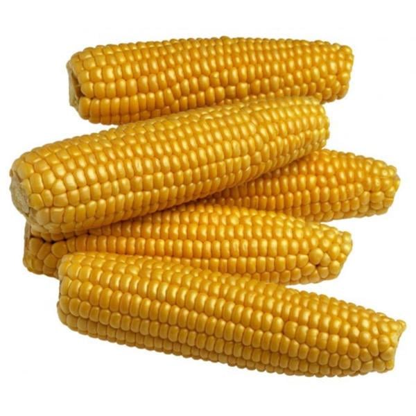 Yellow Whole Corn
