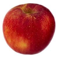 Rome Apples