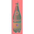 S.Pellegrino Sparkling Natural Mineral Water