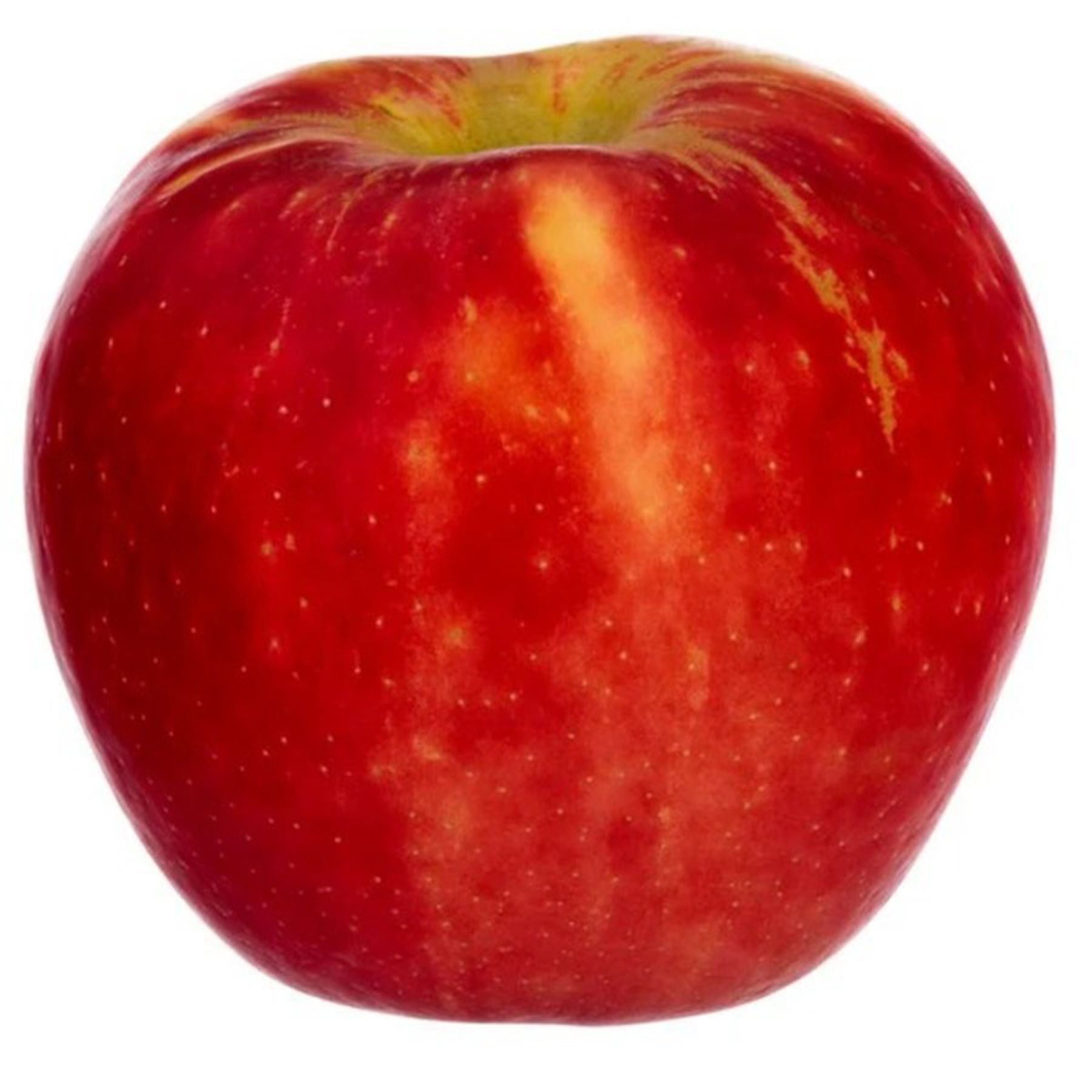 USDA Produce Apples Cosmic Crisp