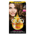 Garnier Olia Permanent Hair Color Light Brown 6.0
