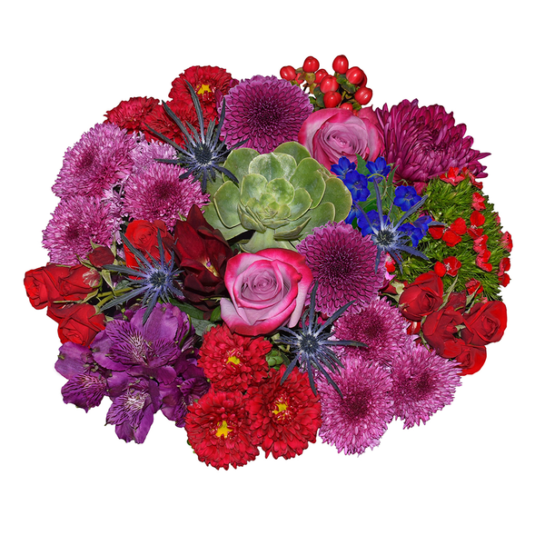 Giant Bloom & Grow December Bouquet