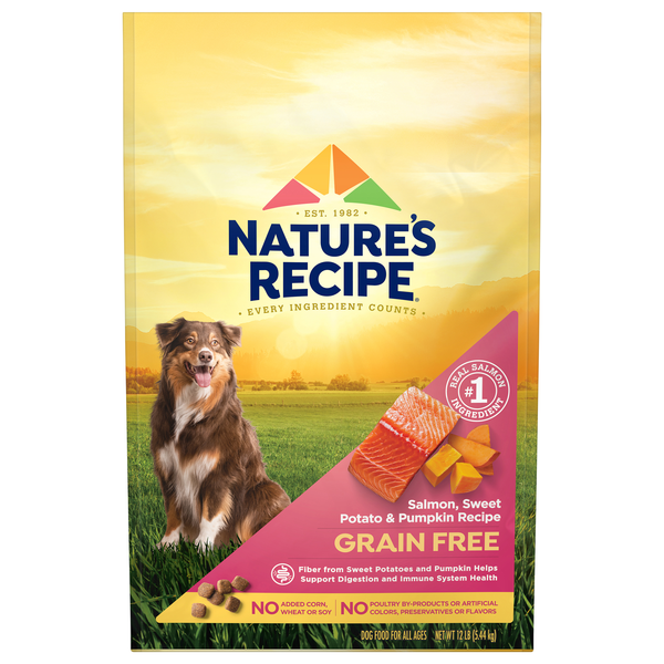 Nature's Recipe Grain Free Salmon Sweet Potato Pumpkin Adult Dry Dog Food