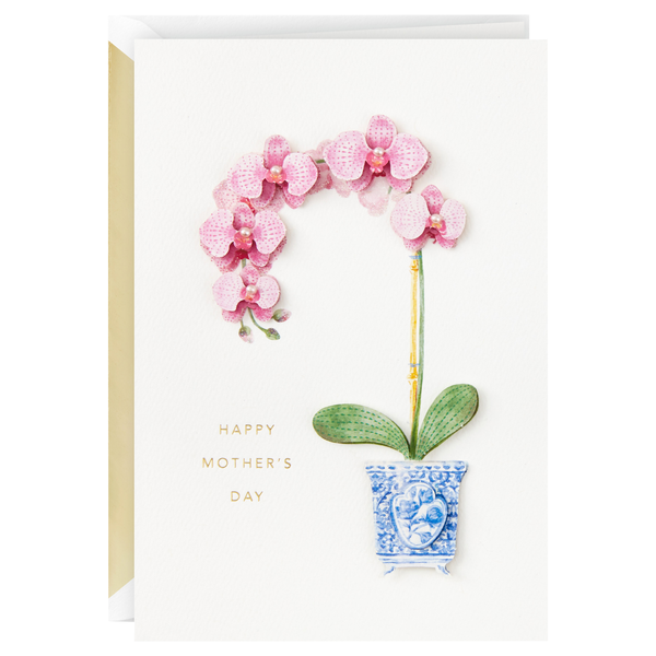 Hallmark Signature Mother's Day Card (Little Reminder)