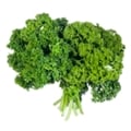 Curly Parsley