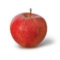 Cameo Apples