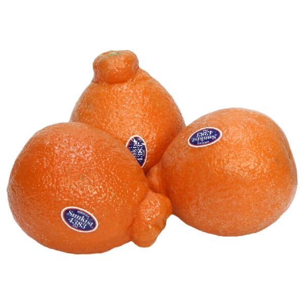 Minneola Tangelos