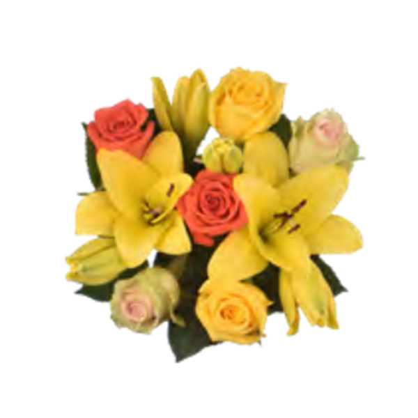 Giant Color Collection Gratitude Lily Rose Bouquet