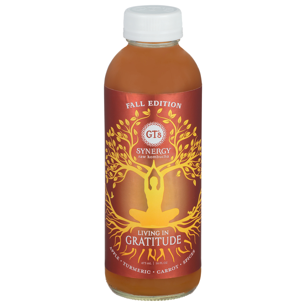 GT's Synergy Living in Gratitude Fall Edition Raw Kombucha