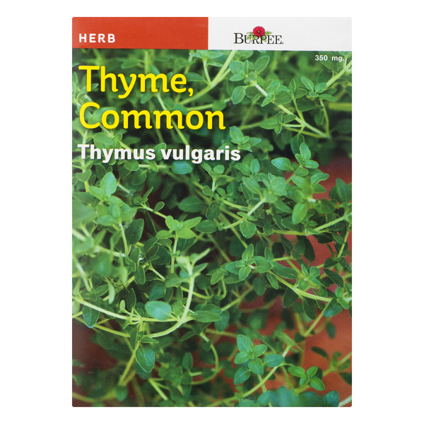 Burpee Herb Thyme Common Thymus Vulgaris