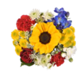 Giant Color Collection Coastal Vibe Majestic Bouquet