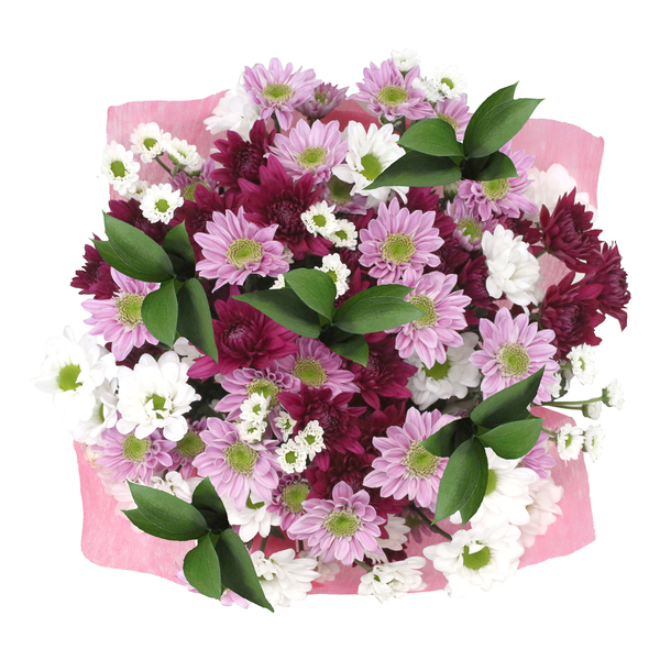 Pompon Fields Bouquet (Colors May Vary)