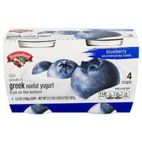 Hannaford Non Fat Blueberry Greek Yogurt Cups - 4 ct