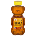 Giant U.S. Grade A Honey Bear