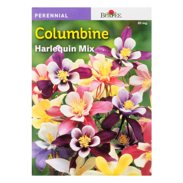 Burpee Perennial Columbine Harlequin Mix