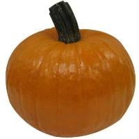Sugar Pie Pumpkins for Baking