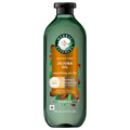 Herbal Essences Jojoba Oil Sulfate Free Shampoo