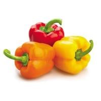 Rainbow Bell Peppers