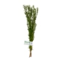 Rosemary Skewers - 3 ct Fresh