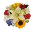 Giant Color Collection Coastal Vibe Supreme Bouquet