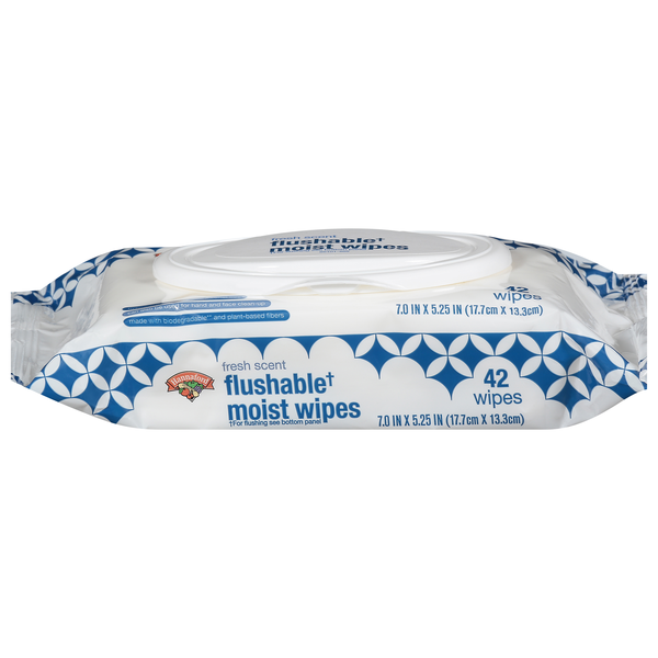 Hannaford Fresh Wipes Flushable