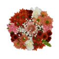 Giant Color Collection Pumpkin Spice Majestic Bouquet
