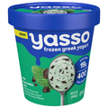 Yasso Mint Chocolate Chip Frozen Greek Yogurt