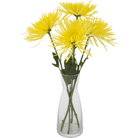 Giant DIY Bunches Disbuds
