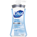 Dial Complete Clean + Gentle Antibacterial Foaming Hand Wash