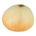 Vidalia Sweet Onions