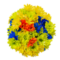 Tinted Daisies (Citrus Summer)