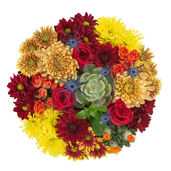 Giant Bloom & Grow October Bouquet
