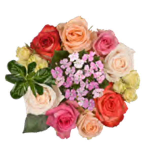 Giant Color Collection Calming Rose Bouquet