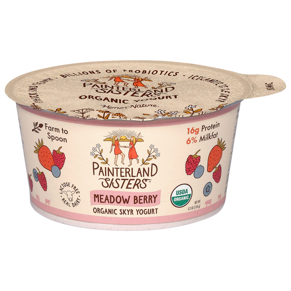 Painterland Sisters Organic Meadow Berry Skyr Yogurt Cup