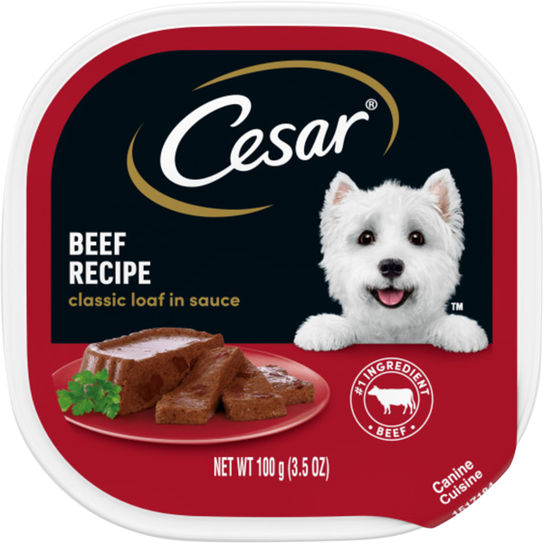 CESAR Classic Loaf in Sauce Beef Recipe Adult Wet Dog Food