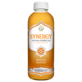 GT's Synergy Organic Mystic Mango Raw Kombucha